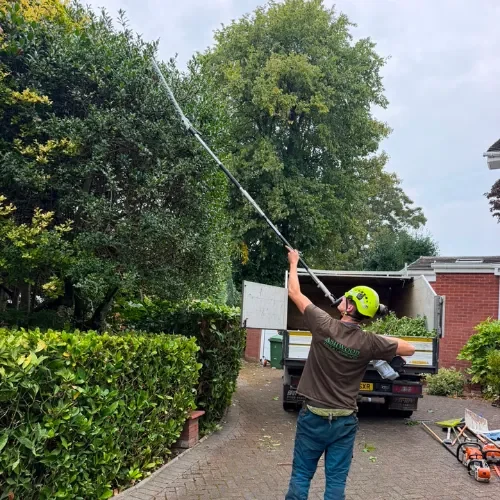 Tree Surgery project by Ashwood Tree Care Ltd in Liverpool