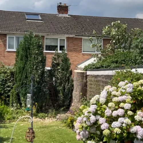 Tree Surgery project by Ashwood Tree Care Ltd in Liverpool
